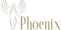 Phoenix-Vector-1024x706-1